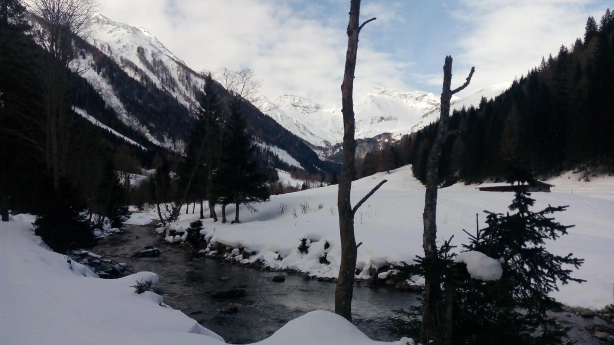 Appartementhaus Flattach Goritschnig Екстериор снимка